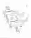Fig. 08 - DEVICE FOR REMOVING A THREAD FROM A TIRE