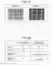 Fig. 25 - MANUFACTURING METHOD AND MANUFACTURING APPARATUS FOR ACICULAR BODY