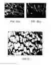Fig. 03 - Advanced Thermal Insulation by Pore Morphology Control in Foaming