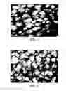 Fig. 04 - Advanced Thermal Insulation by Pore Morphology Control in Foaming
