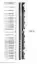 Fig. 05 - Hot melt fragmentation extruder and process