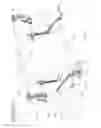 Fig. 06 - Media output guide assembly