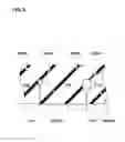 Fig. 04 - Pneumatic tire