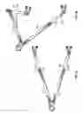 Fig. 05 - Towing assembly with pivot joints