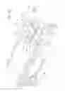 Fig. 34 - Light-emitting part for vehicle
