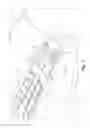 Fig. 03 - Retaining apparatus for a mobile device
