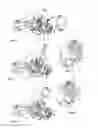 Fig. 02 - STEERING WHEEL LOCK