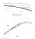 Fig. 02 - Washer nozzle integrated wiper blade