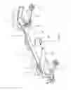 Fig. 06 - Railcar bogie