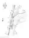 Fig. 03 - Top part structure of vehicle body