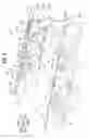 Fig. 05 - Top part structure of vehicle body
