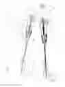 Fig. 10 - Bicycle rear suspension