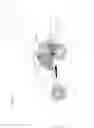 Fig. 11 - Bicycle rear suspension