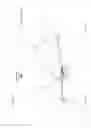 Fig. 13 - Bicycle rear suspension