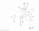 Fig. 18 - Bicycle rear suspension