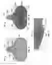 Fig. 04 - Propulsion system having counter-rotating impellers