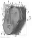 Fig. 09 - Propulsion system having counter-rotating impellers