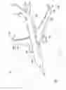 Fig. 03 - Horizontal folding wingtip