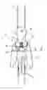 Fig. 04 - Reception coupling