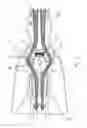Fig. 05 - Reception coupling