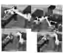 Fig. 08 - Dynamic testing of attitude determination and control systems, reaction wheel and torque rods using automotive robotic techniques