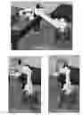 Fig. 09 - Dynamic testing of attitude determination and control systems, reaction wheel and torque rods using automotive robotic techniques