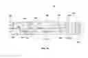 Fig. 22 - BLISTER PACKAGE ASSEMBLIES AND SYSTEMS AND METHODS FOR PRODUCING SAID ASSEMBLIES