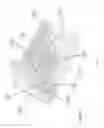 Fig. 12 - Shipping container and safety catch therefor