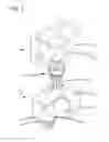 Fig. 02 - Metering apparatus