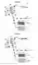 Fig. 06 - Image forming apparatus
