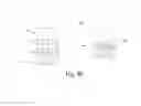 Fig. 11 - Continuous process for the production of nanostructures including nanotubes