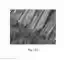 Fig. 19 - Continuous process for the production of nanostructures including nanotubes