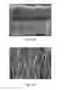 Fig. 21 - Continuous process for the production of nanostructures including nanotubes