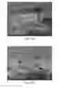 Fig. 24 - Continuous process for the production of nanostructures including nanotubes