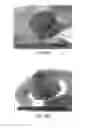 Fig. 35 - Continuous process for the production of nanostructures including nanotubes