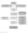 Fig. 01 - Processes for making salt systems including beryllium fluoride