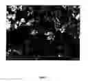 Fig. 04 - A METHOD OF DEGRADING CONTAMINANTS / POLLUTANTS FROM A MATERIAL AND STRUCTURES FOR CARRYING OUT SAID METHOD