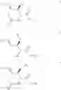 Fig. 09 - Synthesis intermediates for obtaining derivatives of sphingosines, ceramides and sphingomyelins with good yields