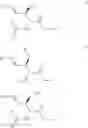 Fig. 10 - Synthesis intermediates for obtaining derivatives of sphingosines, ceramides and sphingomyelins with good yields