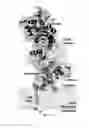 Fig. 03 - Crystal structure of bifunctional transglycosylase PBP1b from and inhibitors thereof