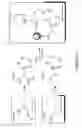 Fig. 09 - Tunable nitric oxide-releasing macromolecules having multiple nitric oxide donor structures