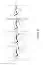 Fig. 15 - Tunable nitric oxide-releasing macromolecules having multiple nitric oxide donor structures