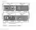 Fig. 18 - Compound based on cyanine scaffold for diagnosis sepsis by selectively detect glutathione
