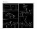 Fig. 22 - Compound based on cyanine scaffold for diagnosis sepsis by selectively detect glutathione