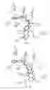 Fig. 03 - Compositions and methods for treating Friedreich's ataxia