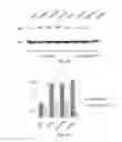 Fig. 06 - Compositions and methods for treating Friedreich's ataxia