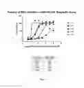 Fig. 05 - Quinolinone pyrimidines compositions as mutant-isocitrate dehydrogenase inhibitors