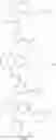Fig. 24 - Substituted bridged urea analogs as sirtuin modulators