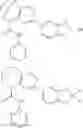 Fig. 25 - Substituted bridged urea analogs as sirtuin modulators