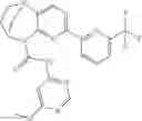 Fig. 534 - Substituted bridged urea analogs as sirtuin modulators